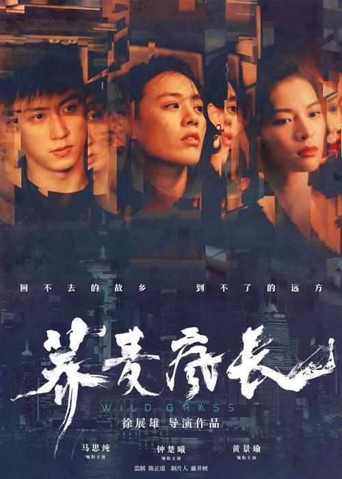 蒙大拿州驾驶证哪里能买到
